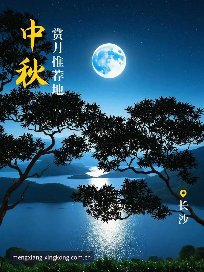 用好星空登录通道的5个关键细节，别再被“找不到入口”卡住